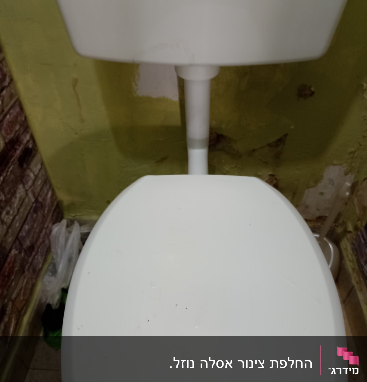 אסלה לבנה עם מיכל הדחה על קיר ירוק